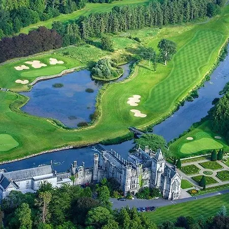 Brookhaven * Kilteely