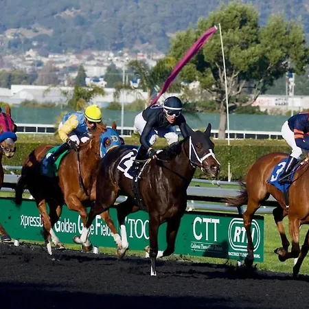 Chalet Brookhaven Kilteely