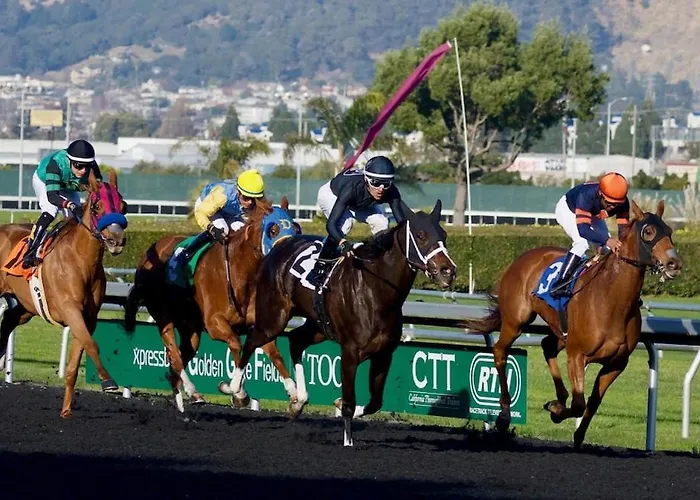 Chalet Brookhaven Kilteely