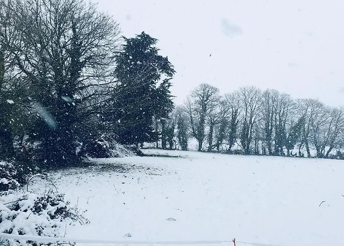 샬레 Brookhaven Kilteely